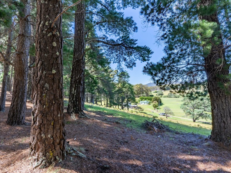 23 Newman Street, St Marys TAS 7215