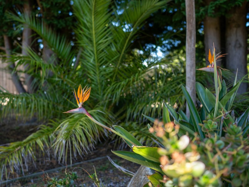 66 St Helens Point Rd, Stieglitz TAS 7216