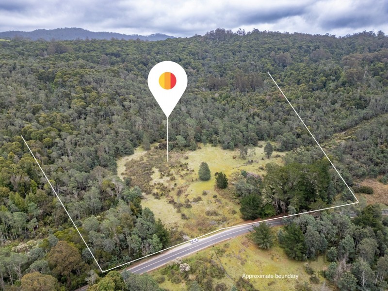 PID 982095 Tasman Highway, Weldborough TAS 7264