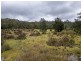 PID 982095 Tasman Highway, Weldborough TAS 7264