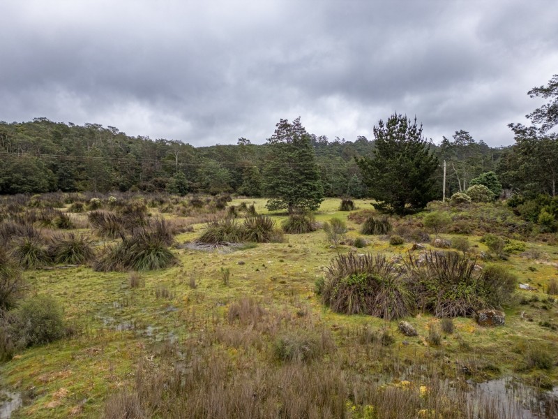 PID 982095 Tasman Highway, Weldborough TAS 7264