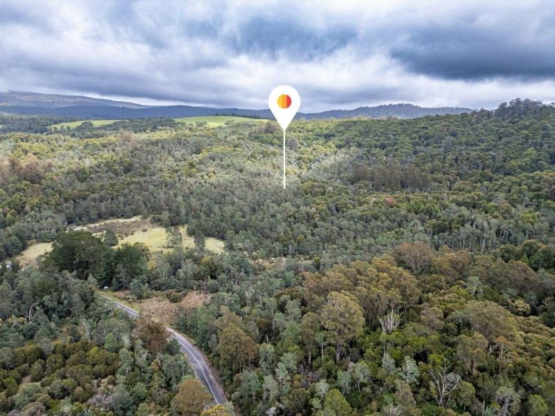 PID 982095 Tasman Highway, Weldborough TAS 7264