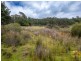 PID 982095 Tasman Highway, Weldborough TAS 7264