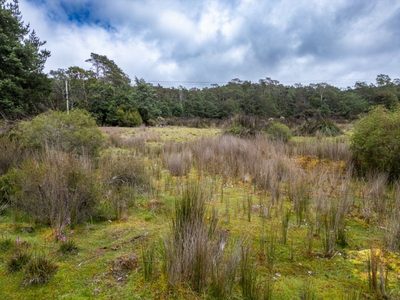 PID 982095 Tasman Highway, Weldborough TAS 7264