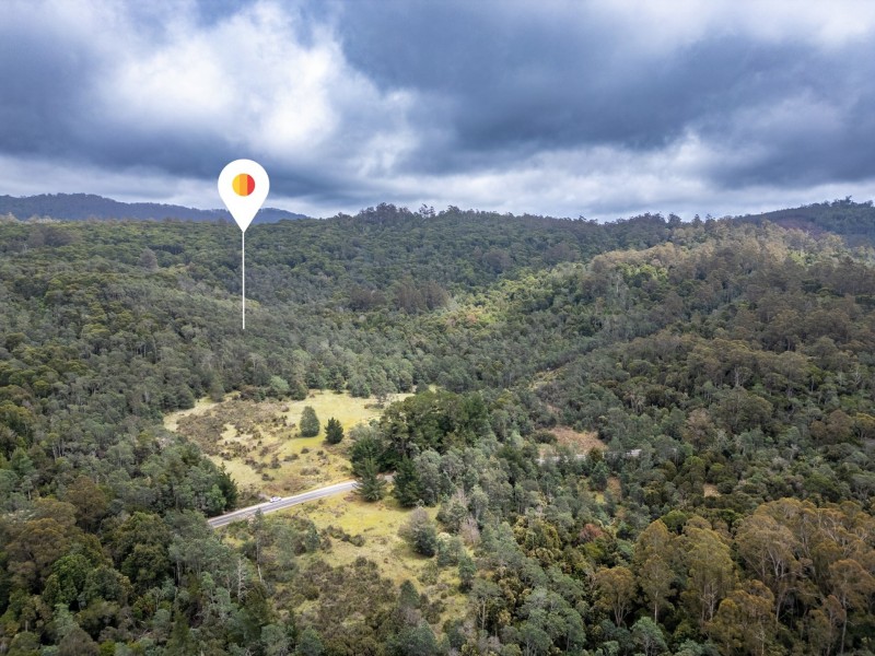 PID 982095 Tasman Highway, Weldborough TAS 7264