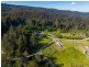 835 Lottah Road, Lottah TAS 7216