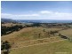 Lot 1 Tasman Highway, Seymour TAS 7215