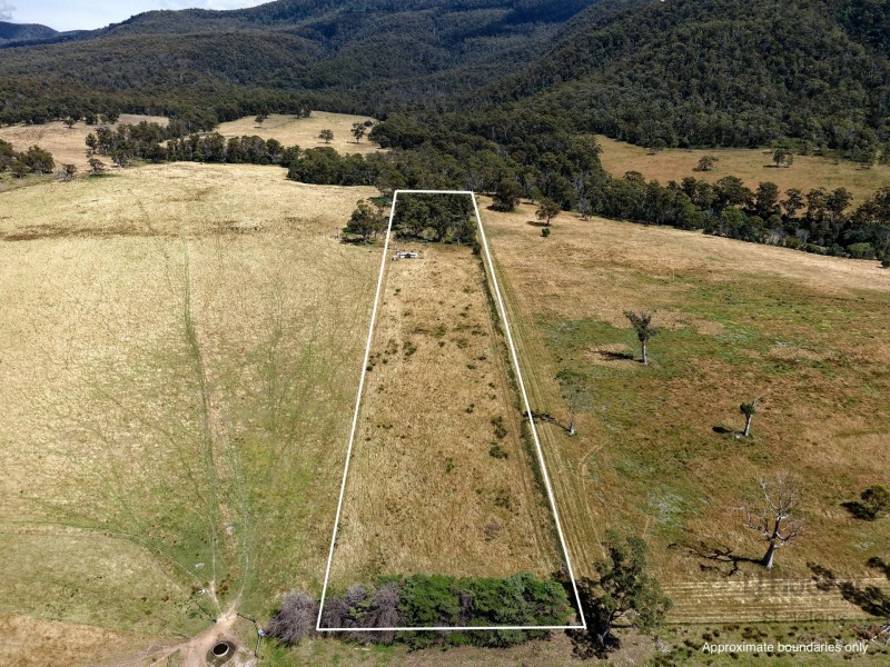 Lot 1 Tasman Highway, Seymour TAS 7215