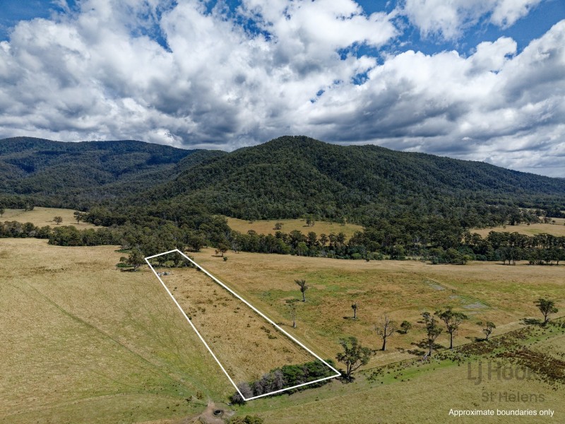 Lot 1 Tasman Highway, Seymour TAS 7215