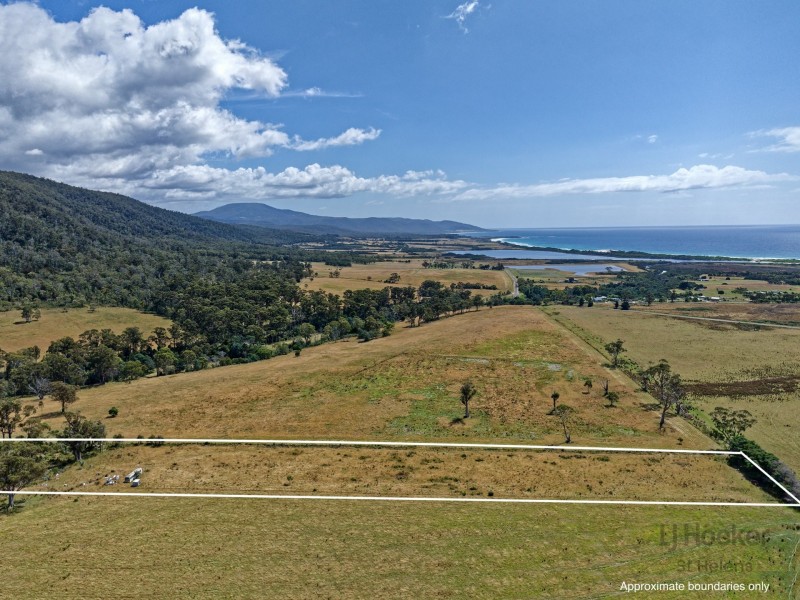 Lot 1 Tasman Highway, Seymour TAS 7215