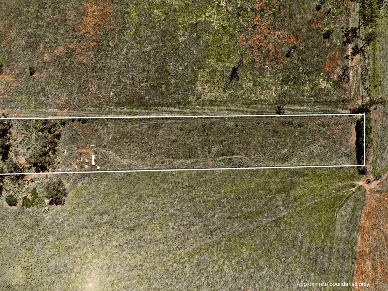 Lot 1 Tasman Highway, Seymour TAS 7215