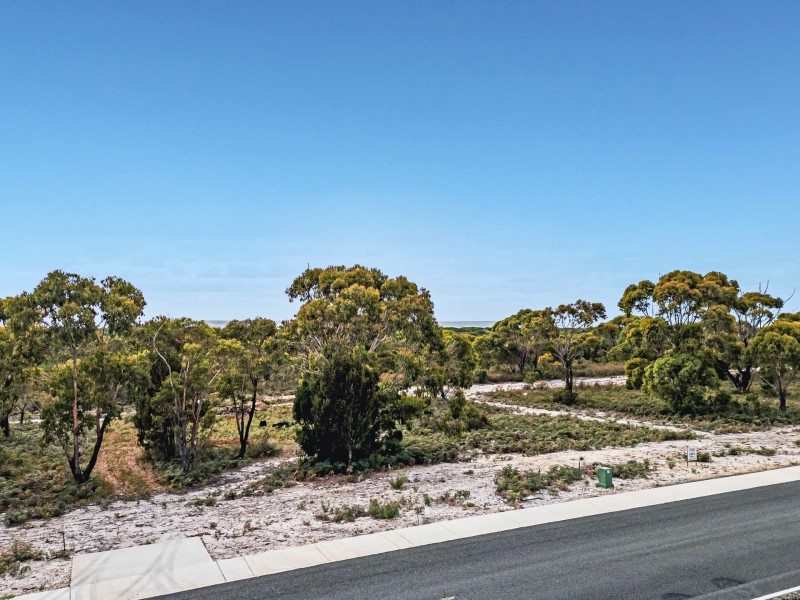 43 Winifred Drive, Scamander TAS 7215