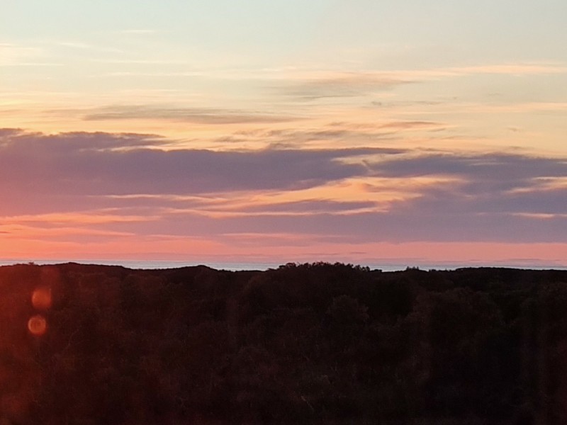 43 Winifred Drive, Scamander TAS 7215