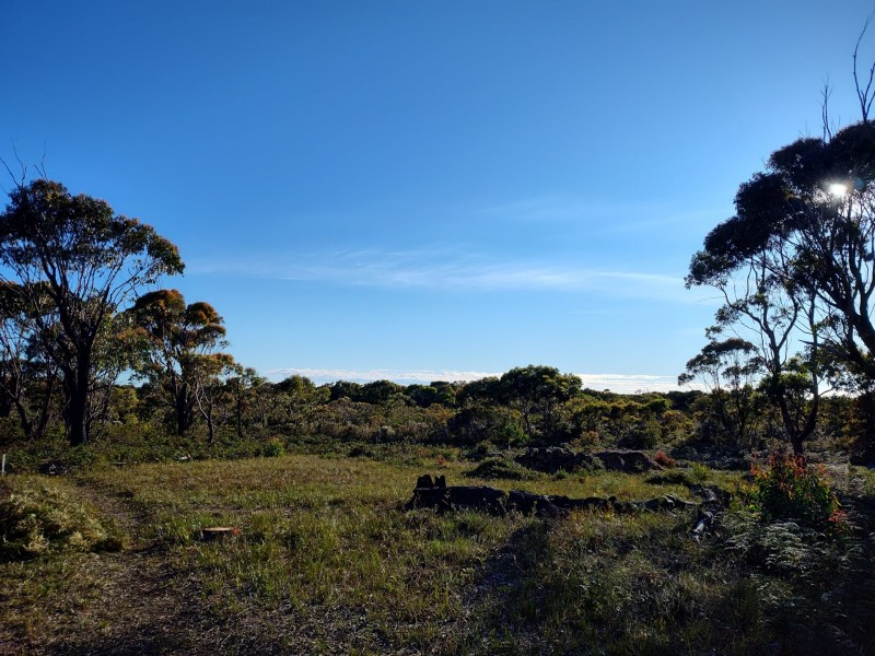 43 Winifred Drive, Scamander TAS 7215