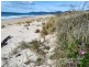 43 Winifred Drive, Scamander TAS 7215