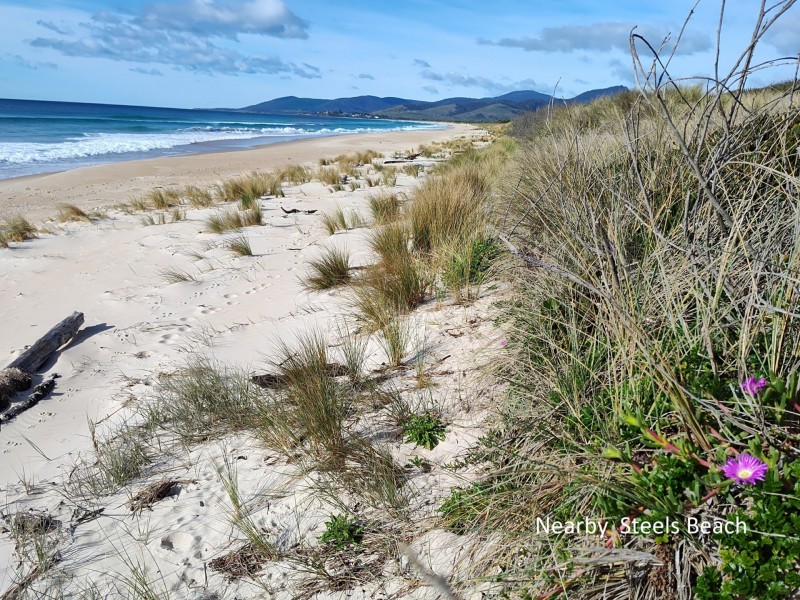 43 Winifred Drive, Scamander TAS 7215