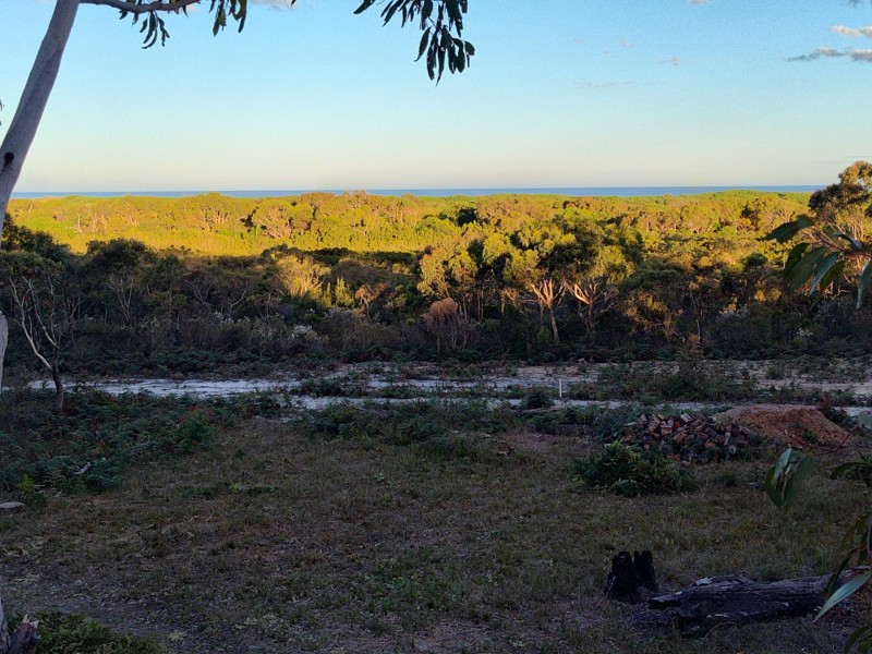 43 Winifred Drive, Scamander TAS 7215