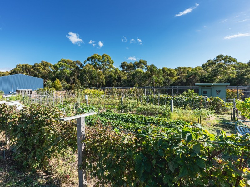 8 Cherrywood Drive, Scamander TAS 7215