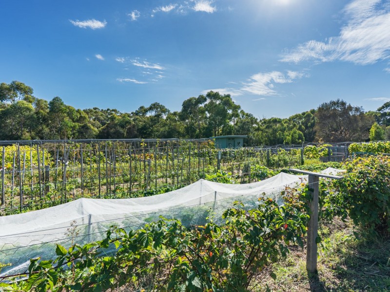 8 Cherrywood Drive, Scamander TAS 7215