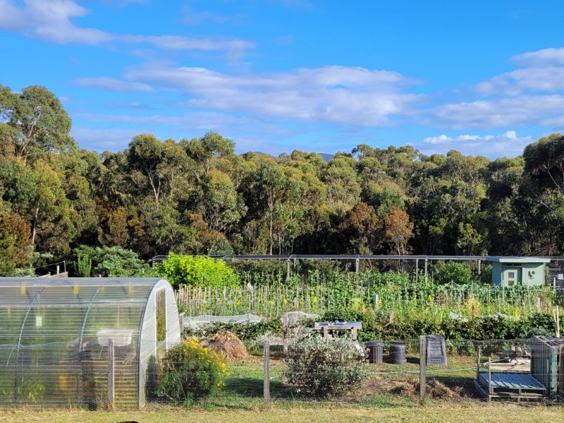 8 Cherrywood Drive, Scamander TAS 7215