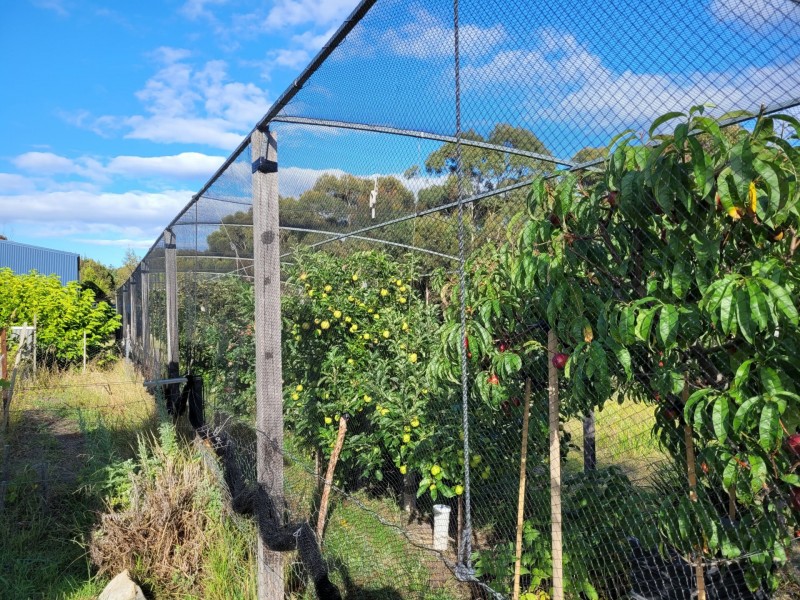 8 Cherrywood Drive, Scamander TAS 7215