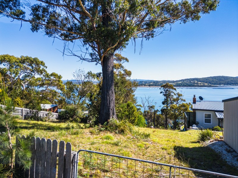 111 St Helens Point Road, Stieglitz TAS 7216