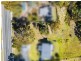 111 St Helens Point Road, Stieglitz TAS 7216