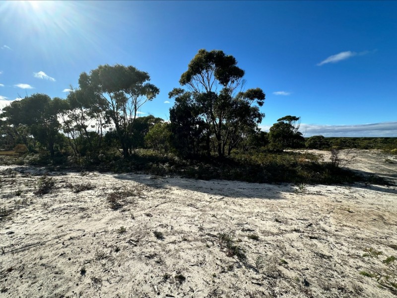 53 Winifred Drive, Scamander TAS 7215