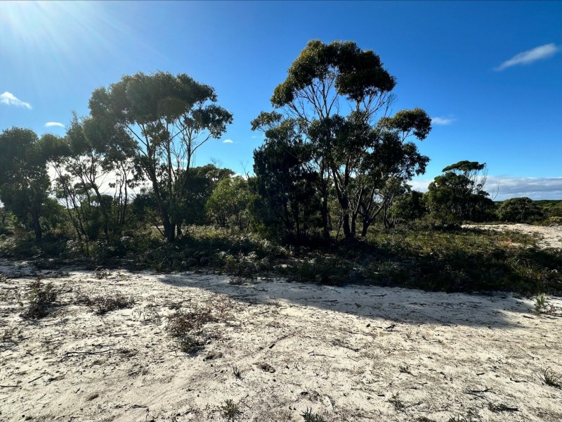 53 Winifred Drive, Scamander TAS 7215