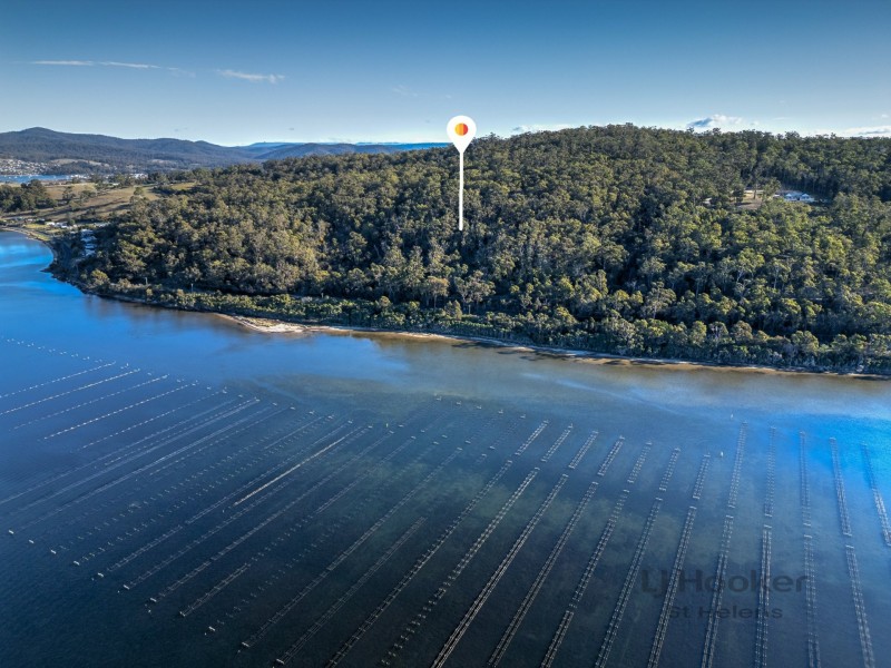 367 Binalong Bay Road, St Helens TAS 7216