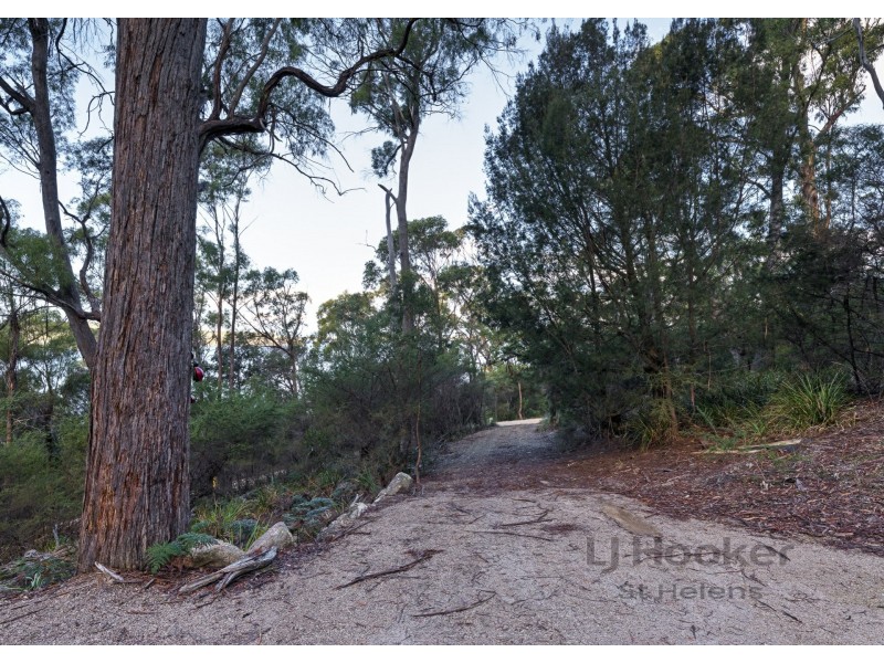 367 Binalong Bay Road, St Helens TAS 7216