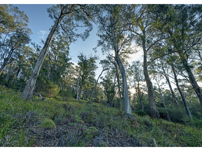 367 Binalong Bay Road, St Helens TAS 7216