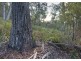 367 Binalong Bay Road, St Helens TAS 7216