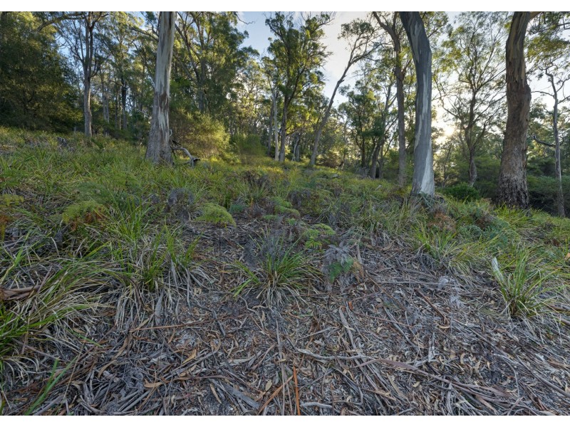 367 Binalong Bay Road, St Helens TAS 7216