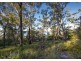 367 Binalong Bay Road, St Helens TAS 7216