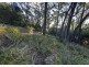 367 Binalong Bay Road, St Helens TAS 7216