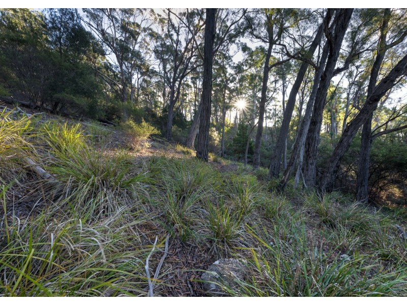 367 Binalong Bay Road, St Helens TAS 7216