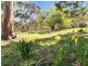 5 Alexander Street, Cornwall TAS 7215