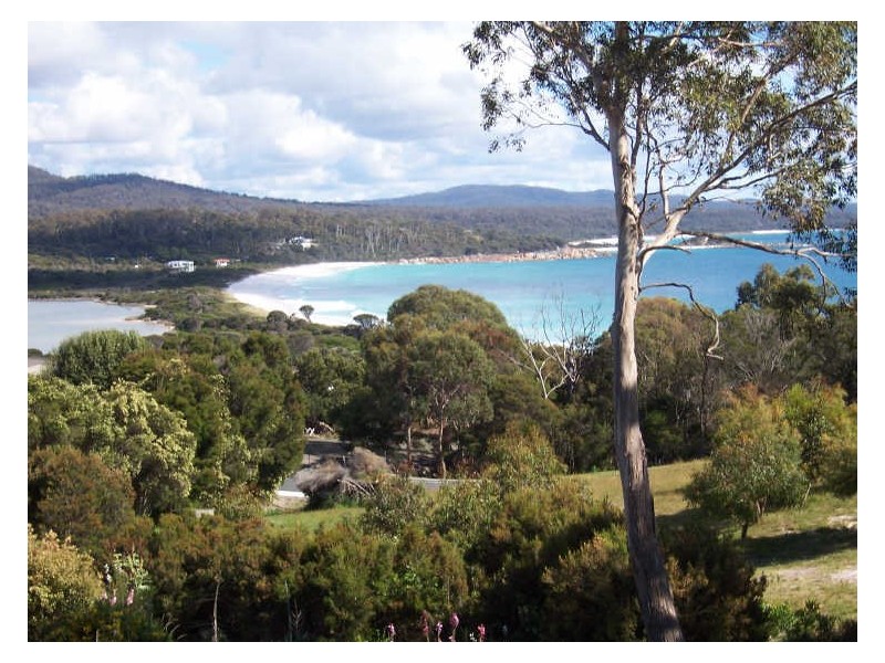 16 Coffey Court, Binalong Bay TAS 7216