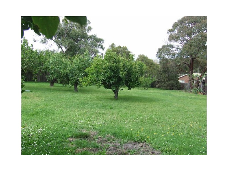 10 Atlas Drive, St Helens TAS 7216