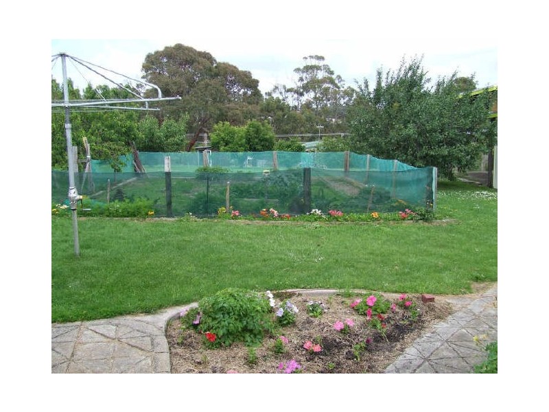 10 Atlas Drive, St Helens TAS 7216