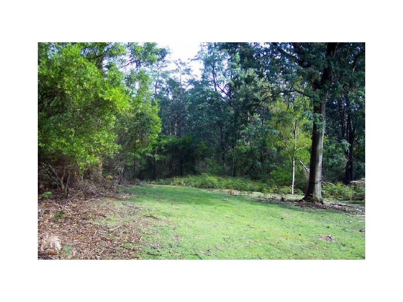 Lot 39512 Elephant Pass Road, St Marys TAS 7215
