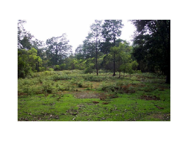 Lot 39512 Elephant Pass Road, St Marys TAS 7215