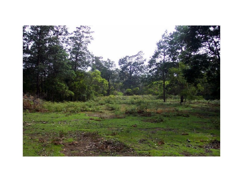 Lot 39512 Elephant Pass Road, St Marys TAS 7215