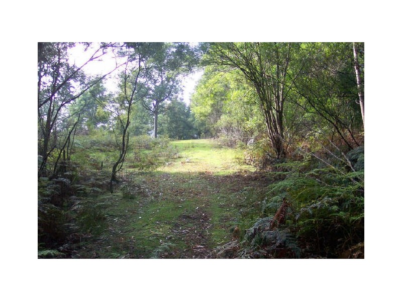 Lot 39512 Elephant Pass Road, St Marys TAS 7215