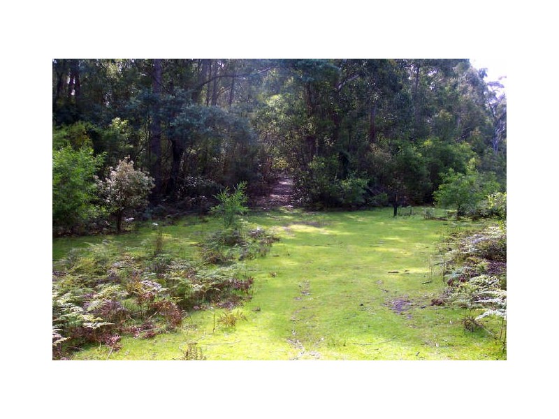 Lot 39512 Elephant Pass Road, St Marys TAS 7215