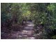 Lot 39512 Elephant Pass Road, St Marys TAS 7215