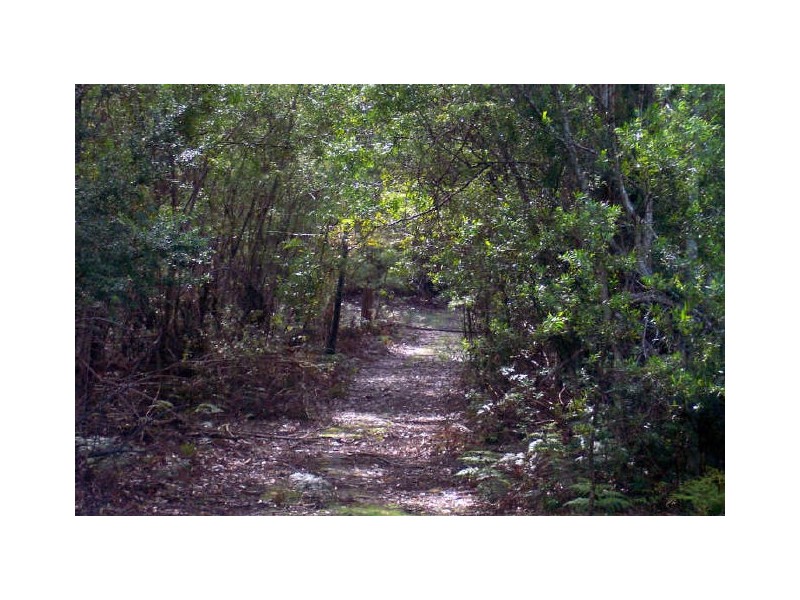 Lot 39512 Elephant Pass Road, St Marys TAS 7215