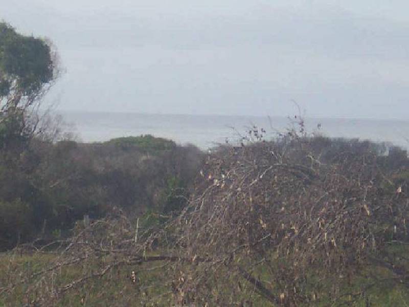 9 Lade Court, Beaumaris TAS 7215