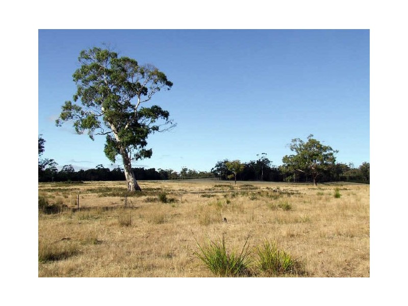 Title/243444 Tasman Highway, St Helens TAS 7216